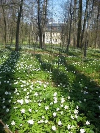 Palac W Nakle Appartement *